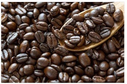 ネルドリップ豆の量や挽き方・湯温例 カフェ・バッハ方式